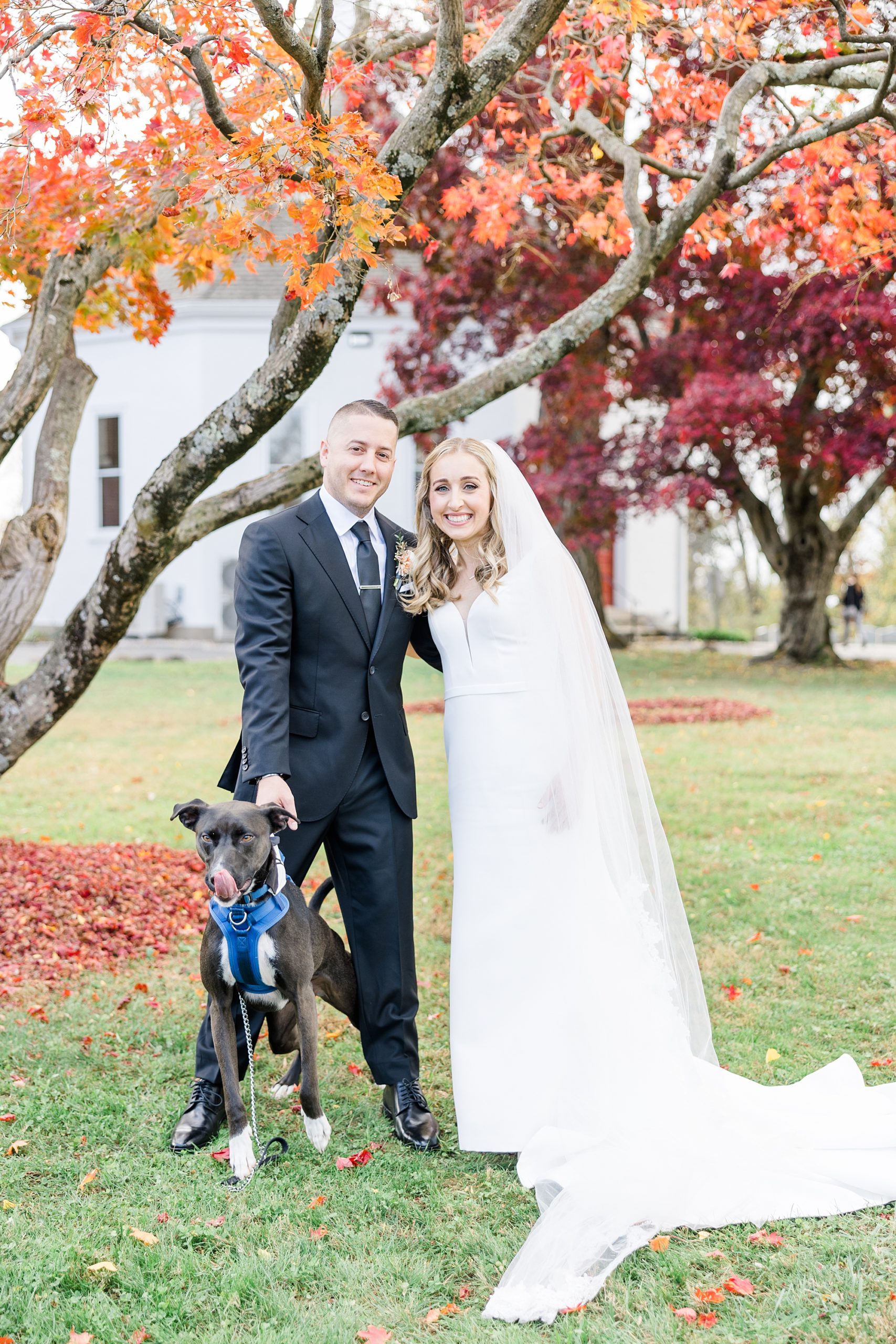 wedding portraits with dog 