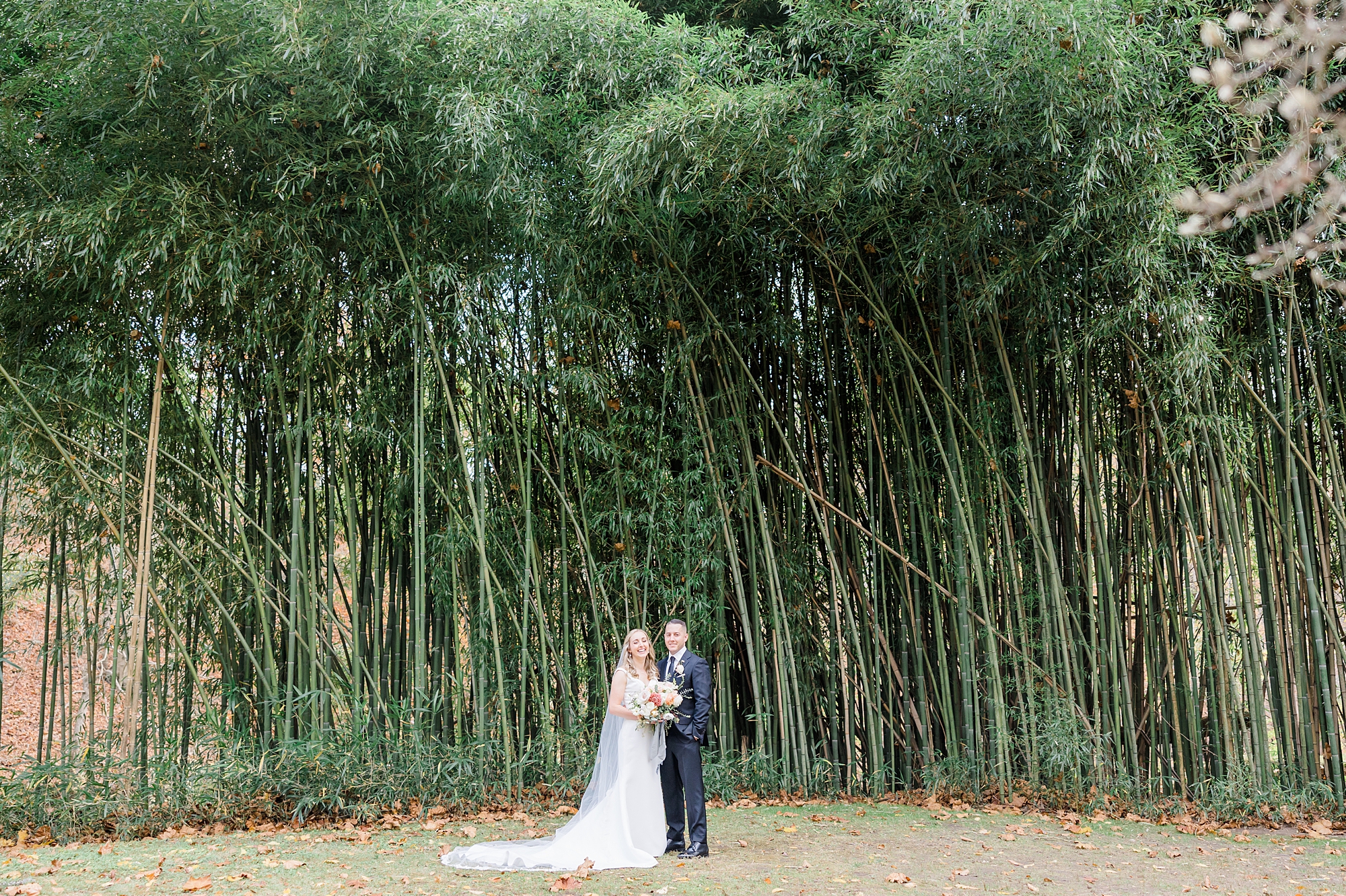 wedding portraits near bamboo trees at The Old Mill in Rose Valley