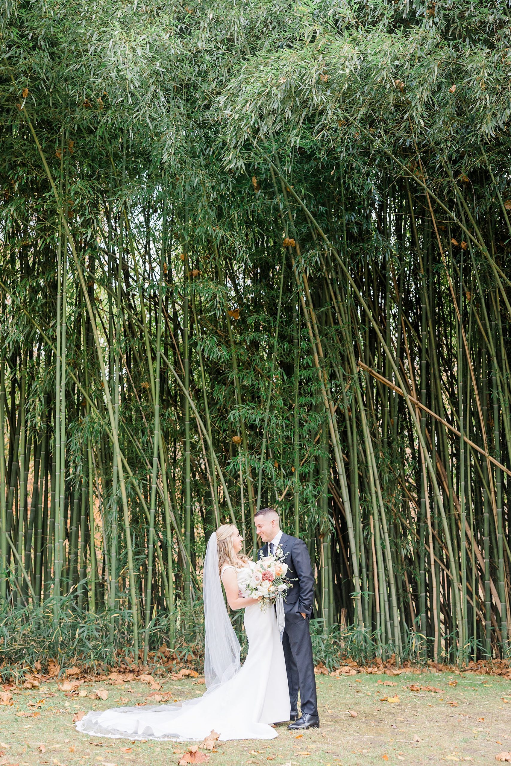 wedding portraits with bamboo trees in the background